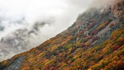 تصاویر اولین برف پاییزی در جاده چالوس