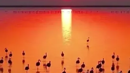 مناظر رویایی و زیبا از غروب میانکاله