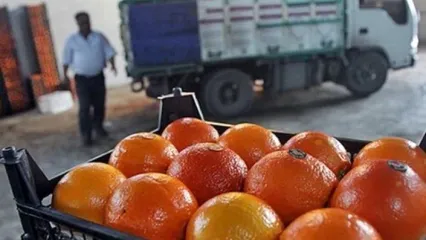 روسیه و آذربایجان یک اتفاق عجیب در ایران را برملا کردند