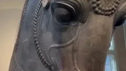 تندیس «سر گاو» تخت جمشید در موزه دانشگاه شیکاگو