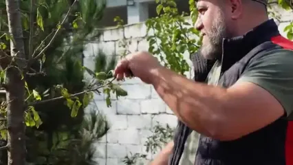 غذای روستایی در آذربایجان؛ کباب کردن ماهی کپور روی آتش در طبیعت