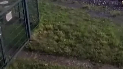 برخورد قطار با یک دستگاه کامیون در هلند/ پنج نفر زخمی شدند