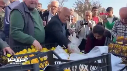 نارنگی رایگان!