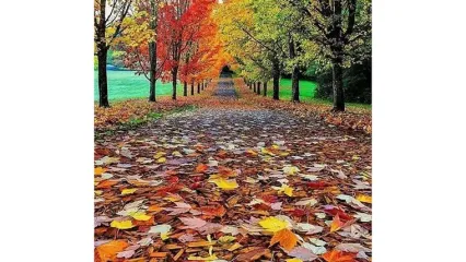 تفسیر فال حافظ 23 آبان