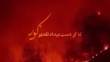 واکنش علیرضا قربانی به سوختن جنگل‌های هیرکانی