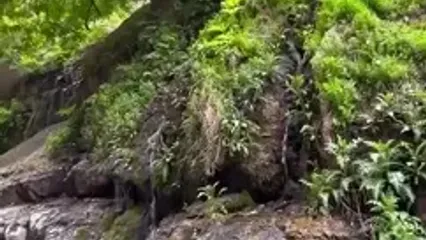 فیلم آبشار هفت چشمه جاده چالوس