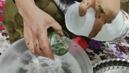 غذاهای محلی ایران: طرز تهیه خورشت کرفس روستایی