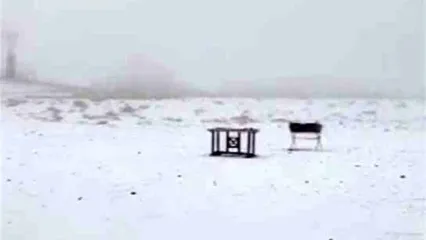 بارش برف ارتفاعات تهران را سفیدپوش کرد