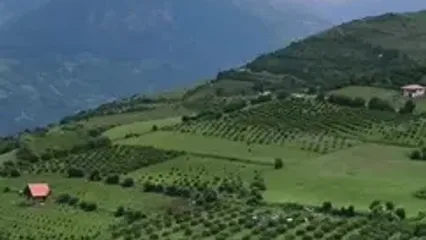 فیلم روستای شوئیل / روستای کوهستانی و زیبا در گیلان