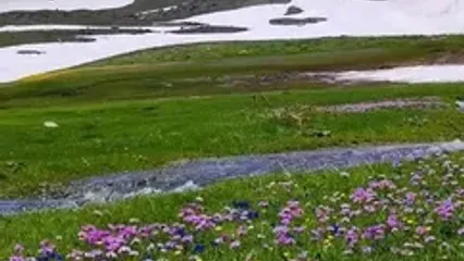 فیلم مناظر سرسبز و زیبا در تالش