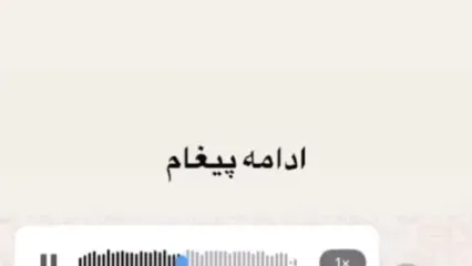 پژمان جمشیدی: جز ایران نمی‌شناسم و برای گرفتن حق خودم برمی‌گردم