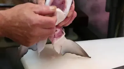 غذای خیابانی در ژاپن؛ تهیه دو نوع غذا با کوسه در توکیو