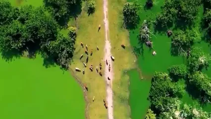 فیلم زیبایی‌های تالاب استیل آستارا