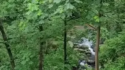 فیلم رانکوه املش / پایتخت طبیعت گیلان