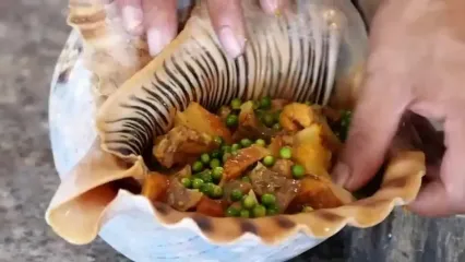 غذای خیابانی در ویتنام؛ پخت غذاهای متنوع با صدف حلزونی غول پیکر در هانوی