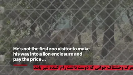 لحظات وحشتناک مرگ دلخراش نوجوان در قفس شیر باغ وحش