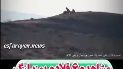 ببینید؛ مشاهده ۶ یوزپلنگ آسیایی در پناهگاه حیات‌وحش میاندشت