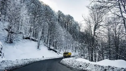 سیاهکل؛ دروازه سبز گیلان به دل جنگل‌های دنا