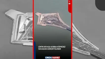 فیلم شاهکار مهندسی چین با نمای مار کبرا