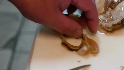 غذای خیابانی در ژاپن؛ تهیه سوپ و ساشیمی با صدف دریایی در اوکیناوا