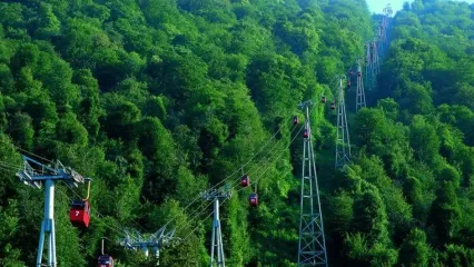 جاده ناهارخوران در معرض تخریب با پروژه پرریسک تله‌کابین/ آقای رئیس‌جمهور،دقت کنید جنگل‌ قربانی پروژه‌ پرریسک نشود