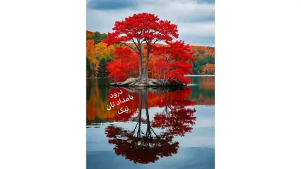 فال ابجد واقعی 12 آذر