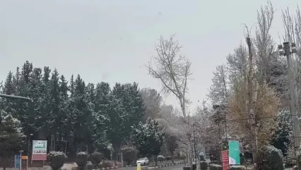 نمایی زیبا از بارش برف پائیزی در دانشگاه شهید بهشتی تهران