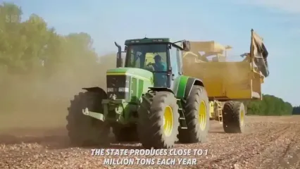 چگونه کشاورزان آمریکایی هزاران تن سیب زمینی را برداشت می کنند؟