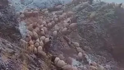 قره درۀ چالدران آذربایجان‌غربی سفیدپوش شد