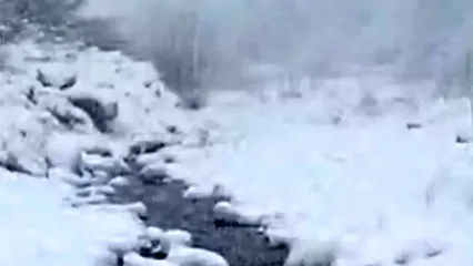 فیلم بارش برف در منطقه کوهستانی سرتنگه سوادکوه