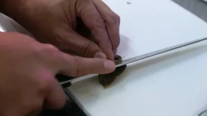 غذای خیابانی در ژاپن؛ پخت غذا با حلزون دریایی غول پیکر در اوکیناوا