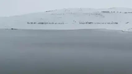 ببینید؛ حجم آبِ سد اکباتان بعد از بارش برف جلب‌توجه کرد