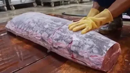 غذای خیابانی در تایوان؛ صید، برش و تهیه ساشیمی با ماهی مارلین در تایپه