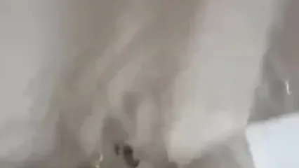 فیلمی از سیل وحشتناک در قشم