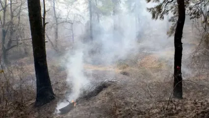 رسانه‌ها حلقه ارتباط میان مردم و نیروهای امدادی در بحران دیزمار شدند