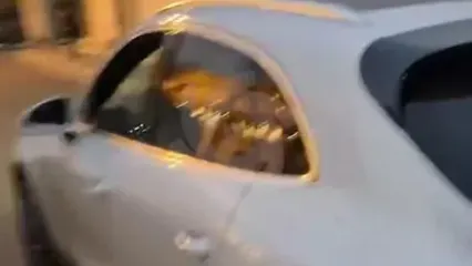 واکنش رامین رضاییان به شایعه درگیری با ساپینتو