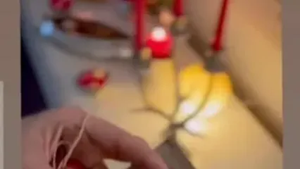 شب یلدا ۱۴۰۴: خانه بهاره افشاری با یک پیام خاص