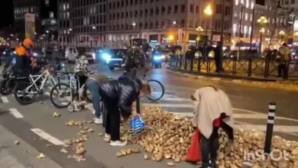 بروکسل در شوک سیب‌زمینی؛ شهروندان از خیابان‌ها برداشت کردند