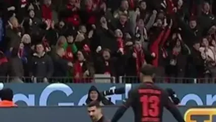 ویدئو: گل عقربی زیبای تریر به کلن