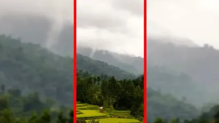 فیلم زیبایی مه در جنگل های مازندران