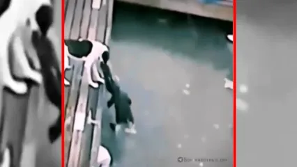 فیلم شکار سگ توسط تمساح