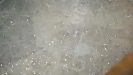 غذای خیابانی در نیوزیلند؛ پای استیک، ماهی و چیپس و خوراک گوشت بره در اوکلند