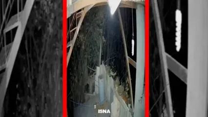 فیلم ورود خرس به منزل مسکونی در خطیرکوه سمنان