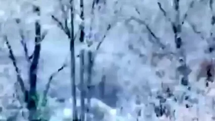 فیلم مناظر زمستانی و برفی شهرکرد