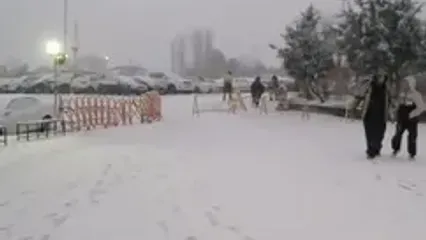 بارش برف صبحگاهی در توچال