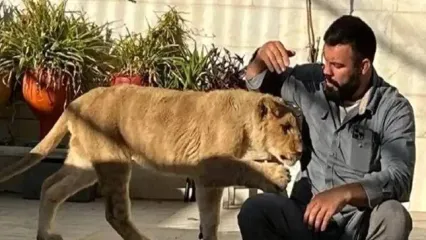 امیر علی اکبری : جای شیر من تو خونه بهتر از باغ وحش بود / یه الاغ با جُفتک زد شیر نر رو کشت