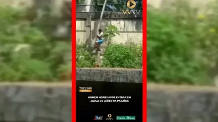 فیلم صفر تا صد خورده شدن پسر جوان توسط شیر باغ وحش