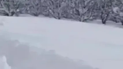 بارش برف یک متری در روستای گەلاز شهرستان اشنویۀ آذربایجان‌غربی