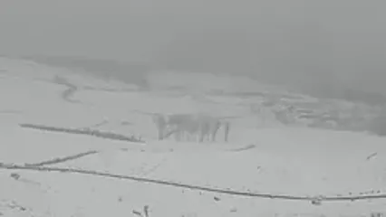 بارش برف در روستای وراینه نهاوند