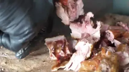 غذای خیابانی در مالزی؛ تهیه اردک بریانی در سلانگور